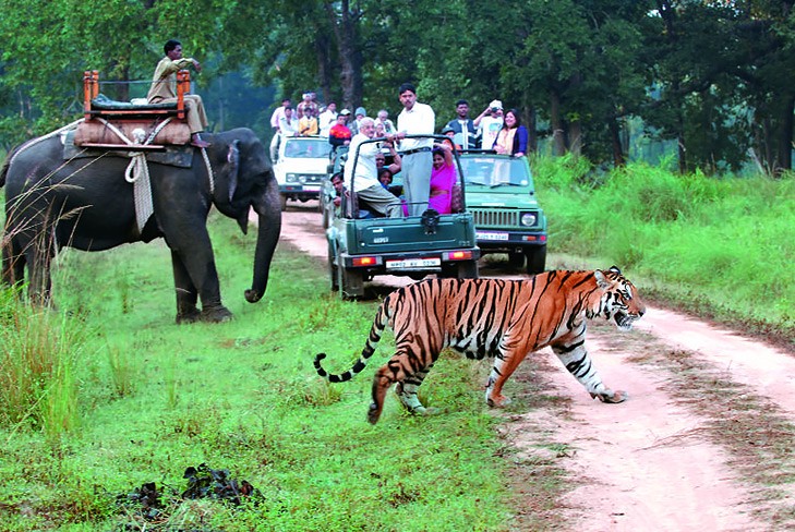 important-national-parks-and-wildlife-sanctuaries-in-india-for-ssc-cgl